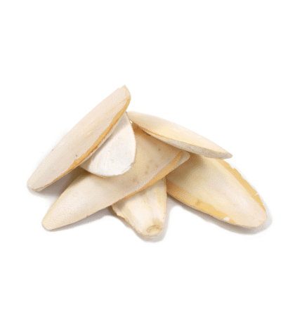 Local Cuttel Fish Bone 100 gm