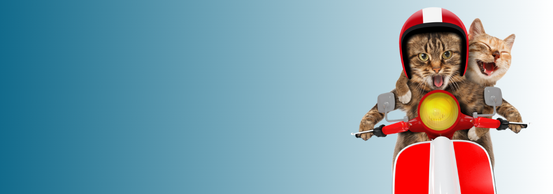 Delivery Image - Griho Pet