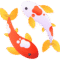 Fish Food