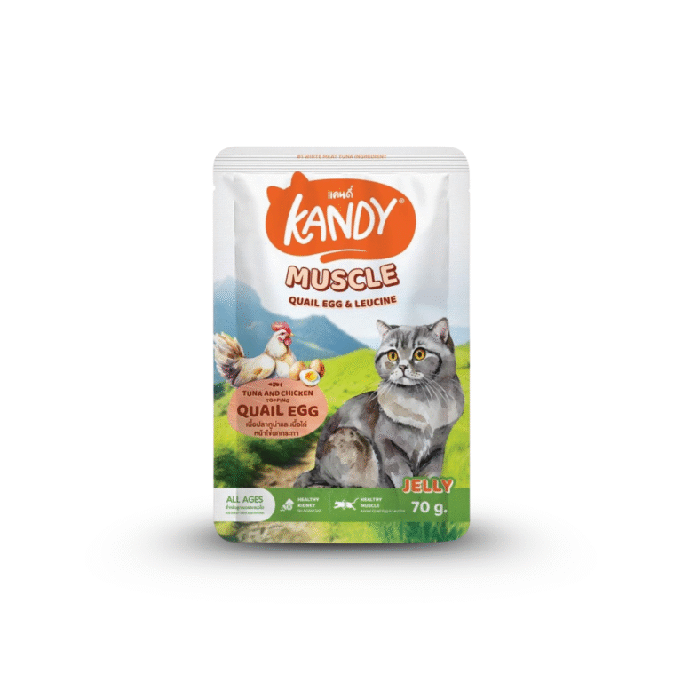Kandy Muscle Formula - Jelly 70gm