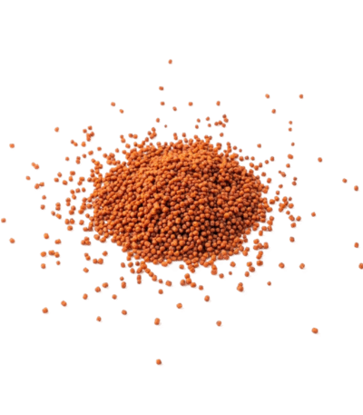 Local All Fish Loose Aquarium fish food 1 kg