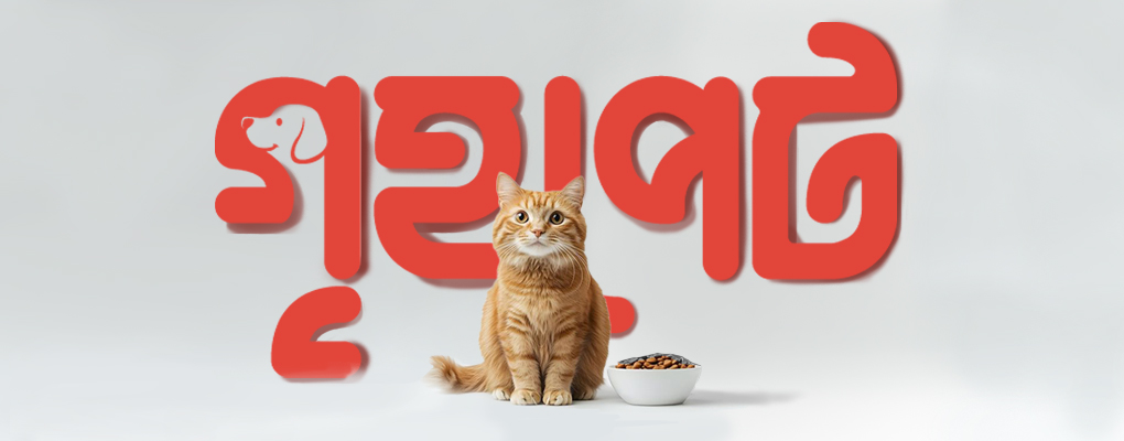 Web-banner-4-
