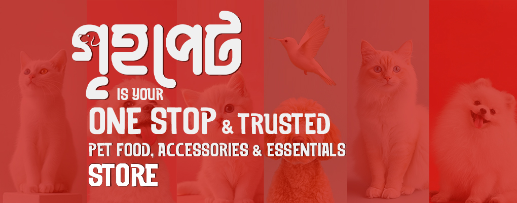 Web-banner-4