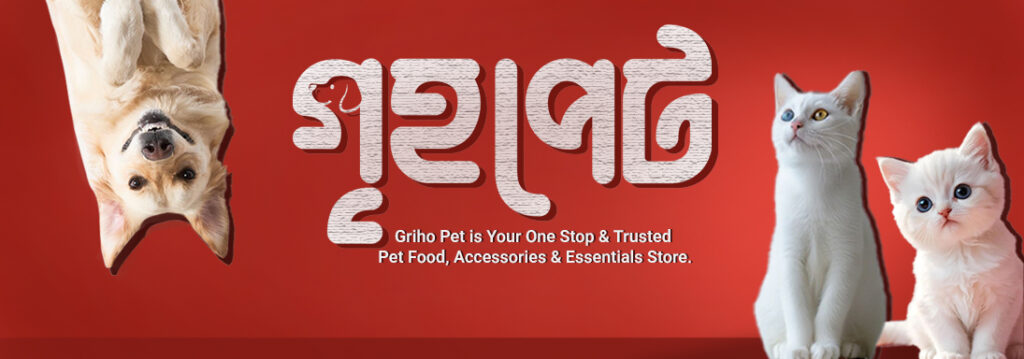 Web-banner-5