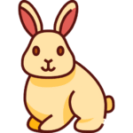 Adult Rabbit